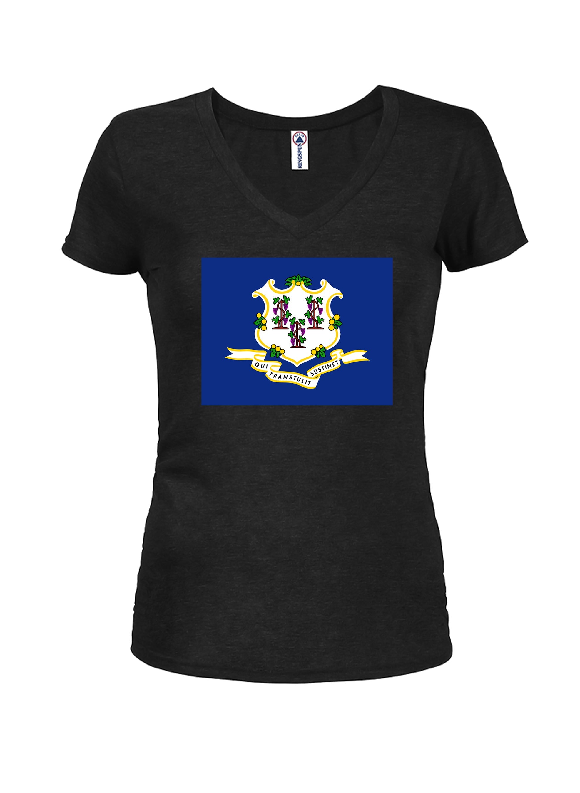Connecticut State Flag T-Shirt