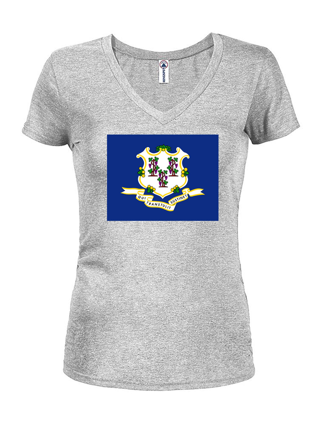 Connecticut State Flag T-Shirt