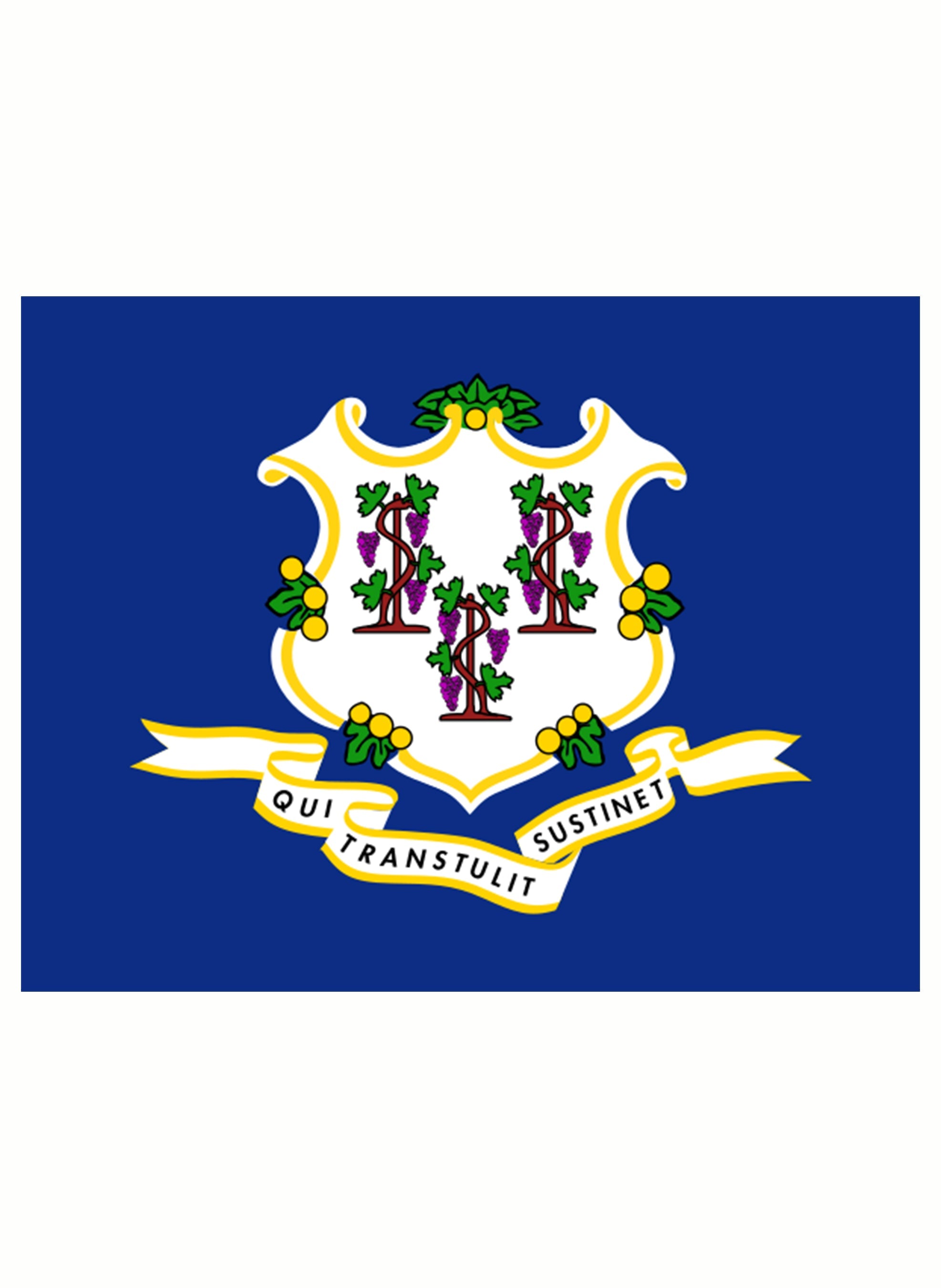Connecticut State Flag T-Shirt