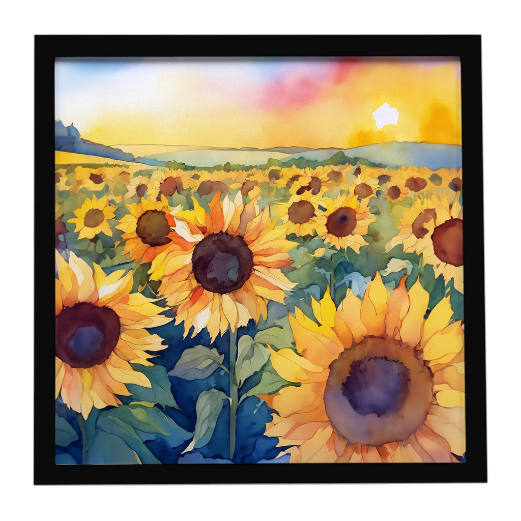 Kansas Sunflowers in Watercolor Framed Metal Print DAC1653MFP88