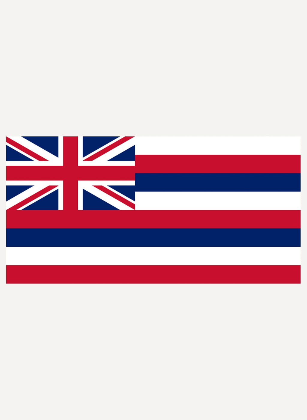 Hawaii State Flag T-Shirt