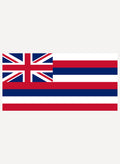 Hawaii State Flag T-Shirt