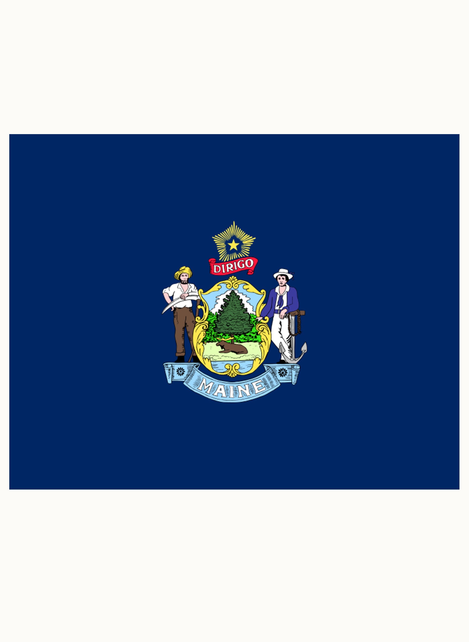 Maine State Flag T-Shirt