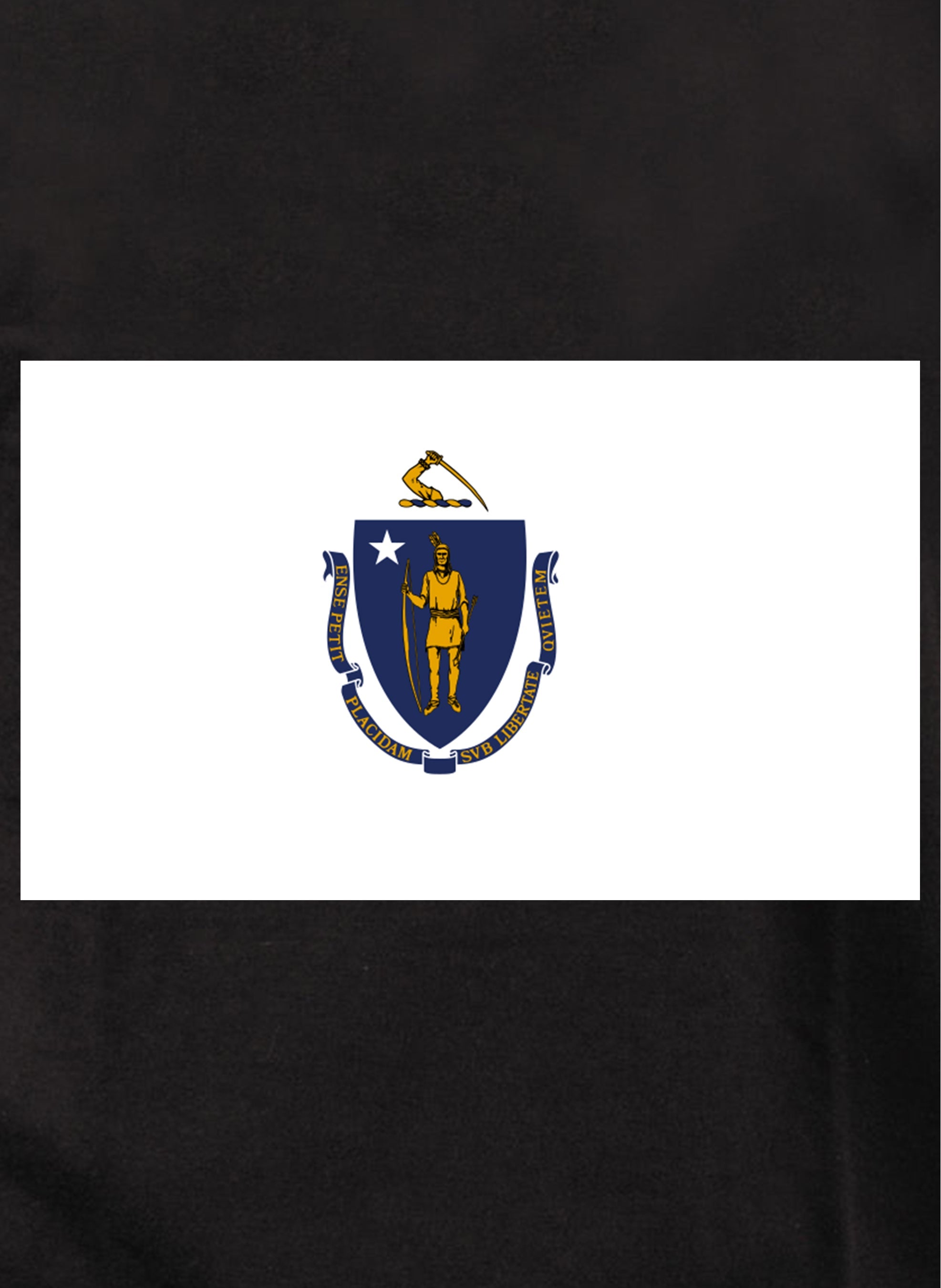 Massachusetts State Flag T-Shirt