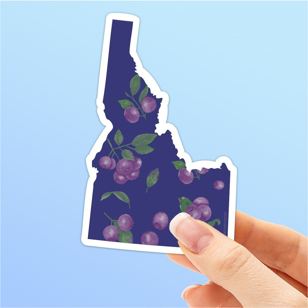 Huckleberry Idaho Sticker